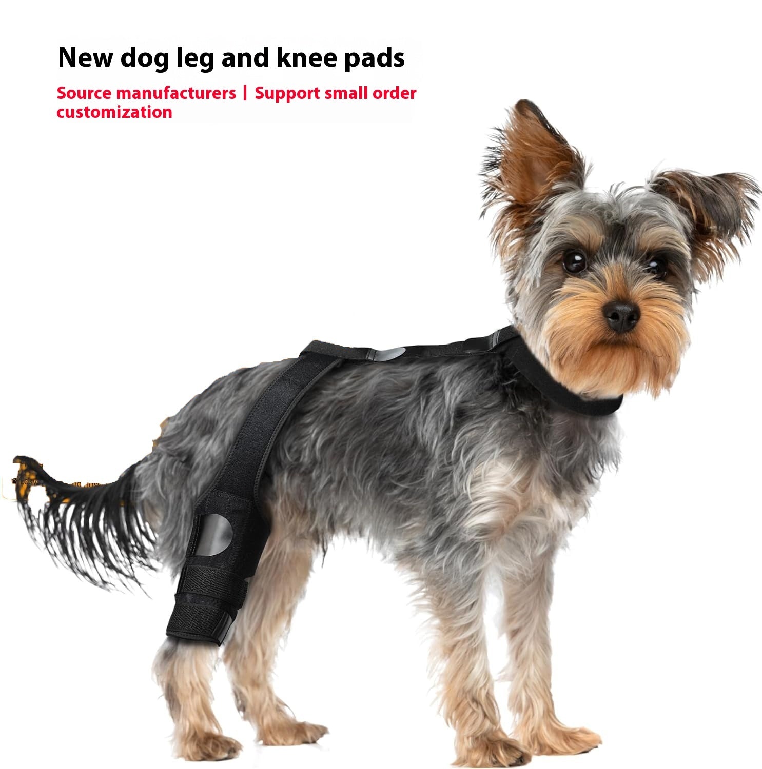 Dog Hind Knee Brace Assist