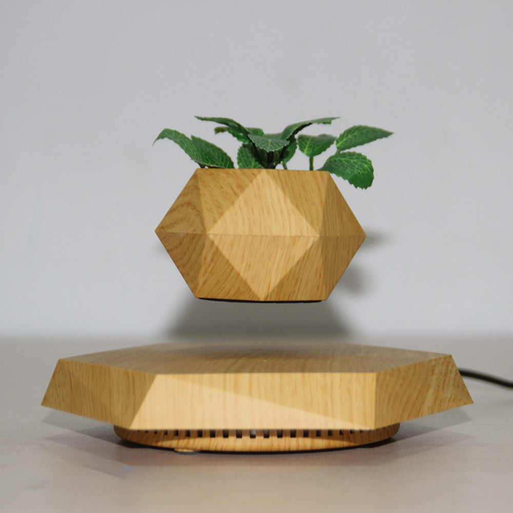 B. Floating Flower Pot