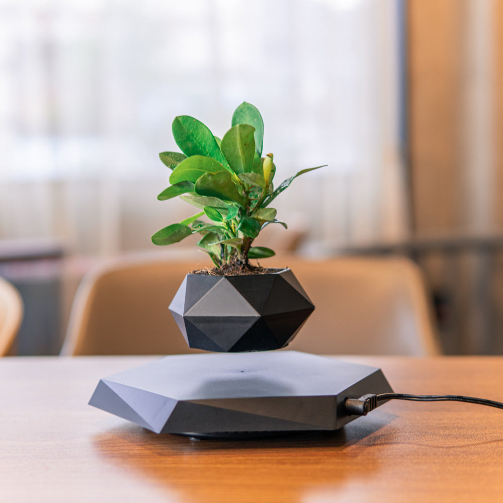 B. Floating Flower Pot