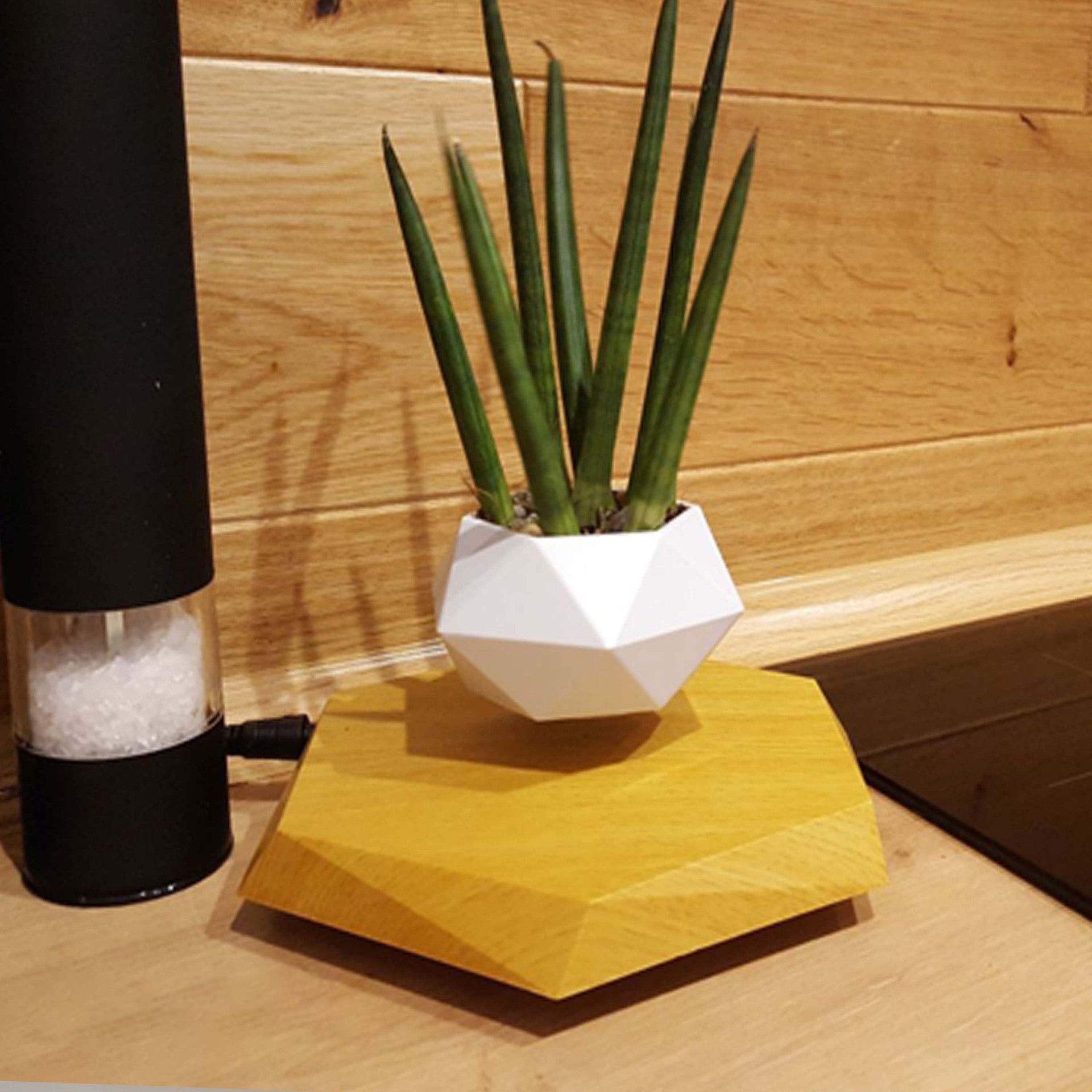 B. Floating Flower Pot