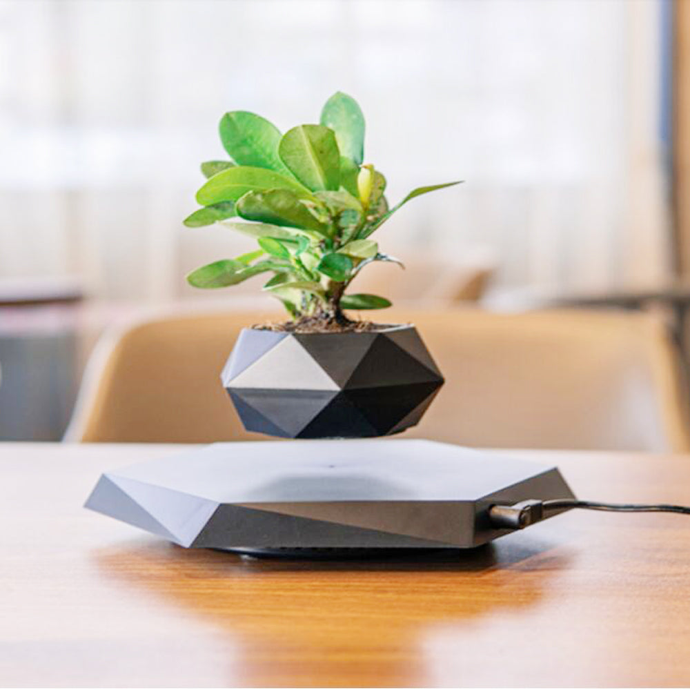B. Floating Flower Pot