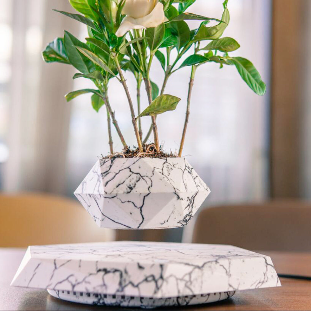 B. Floating Flower Pot
