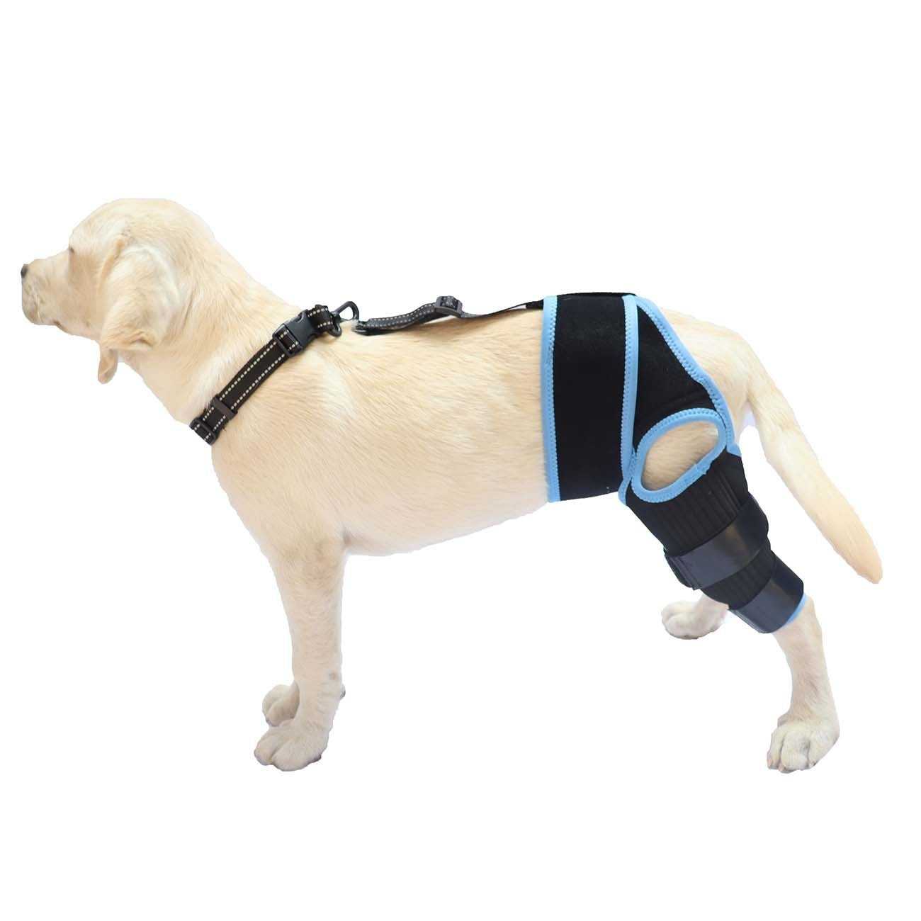 Dog Hind Knee Brace Assist