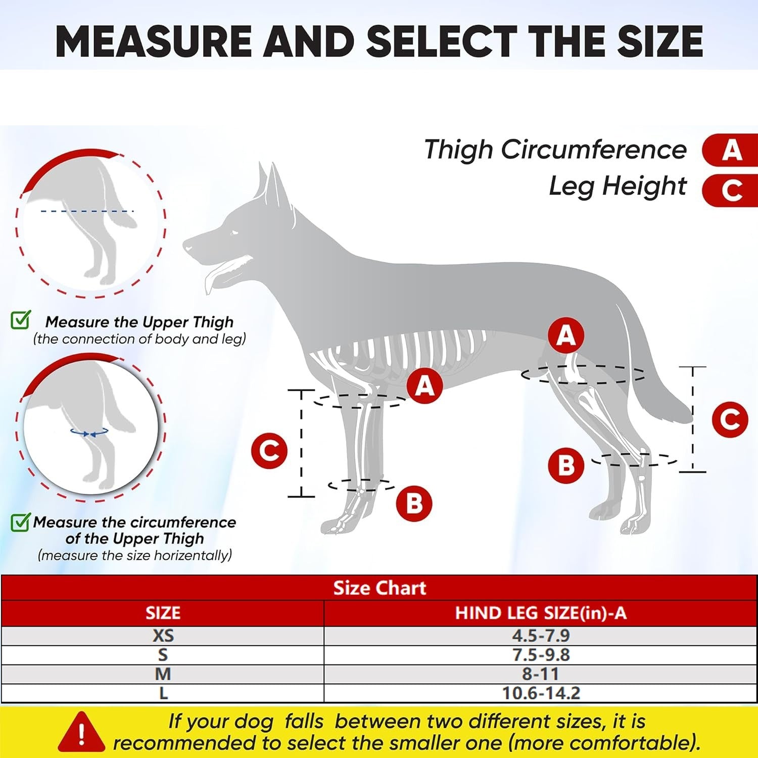 Dog Hind Knee Brace Assist