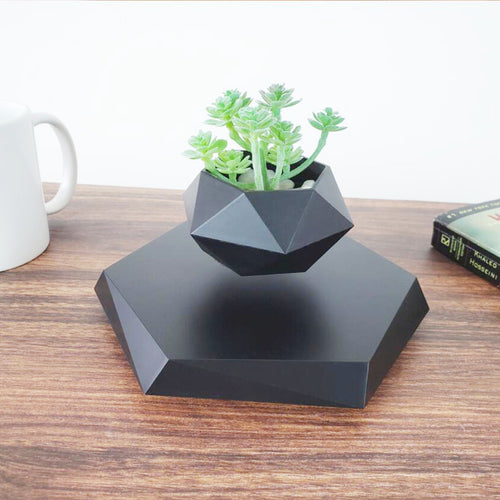 B. Floating Flower Pot